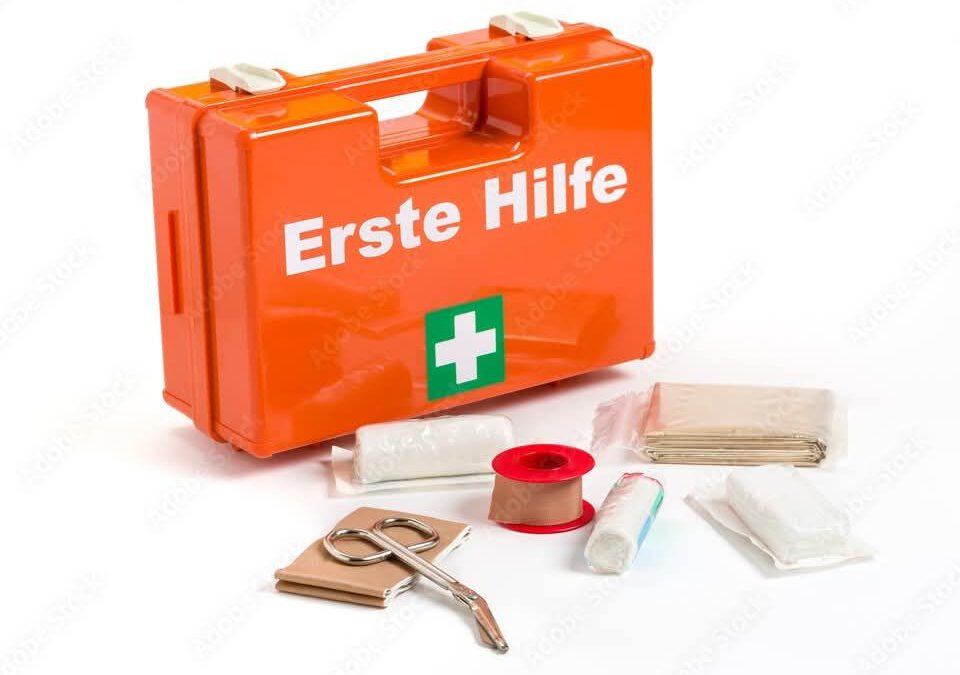 Erste-Hilfe-Kurs
